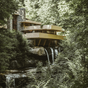 Casa en el árbol