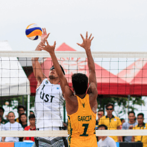 Voleibol